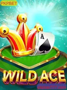 Descubra o Mundo Fascinante de WildAce no PKP.BET